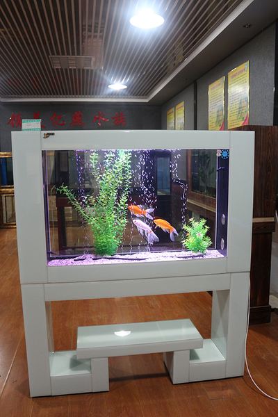 店铺养鱼风水禁忌